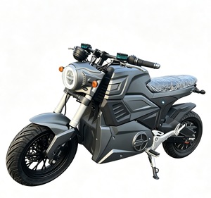 Moto de course exclusive pour adultes, haute performance, économique, offrant une vitesse et une puissance impressionnantes - Product Image 1