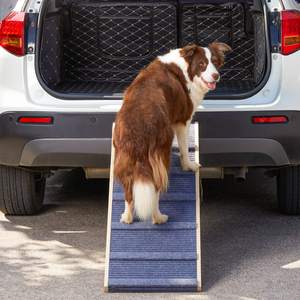 Zmaker Houten Hondenhelling Voor <span class=keywords><strong>Bed</strong></span> Verstelbare Hondentrappen Ladder Met Antislip Opvouwbare Draagbare Huisdierhelling Voor Bank - Product Image 6