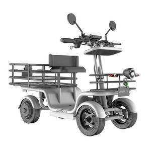 Scooter électrique 48V 250W avec moteur à engrenages pour <span class=keywords><strong>campus</strong></span> et parcs, grande capacité de chargement, avec panier de rangement arrière - Product Image 1