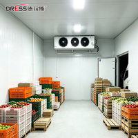 Chambre froide modulaire pour boucherie, conteneur de congélation pour la conservation des aliments surgelés des restaurants