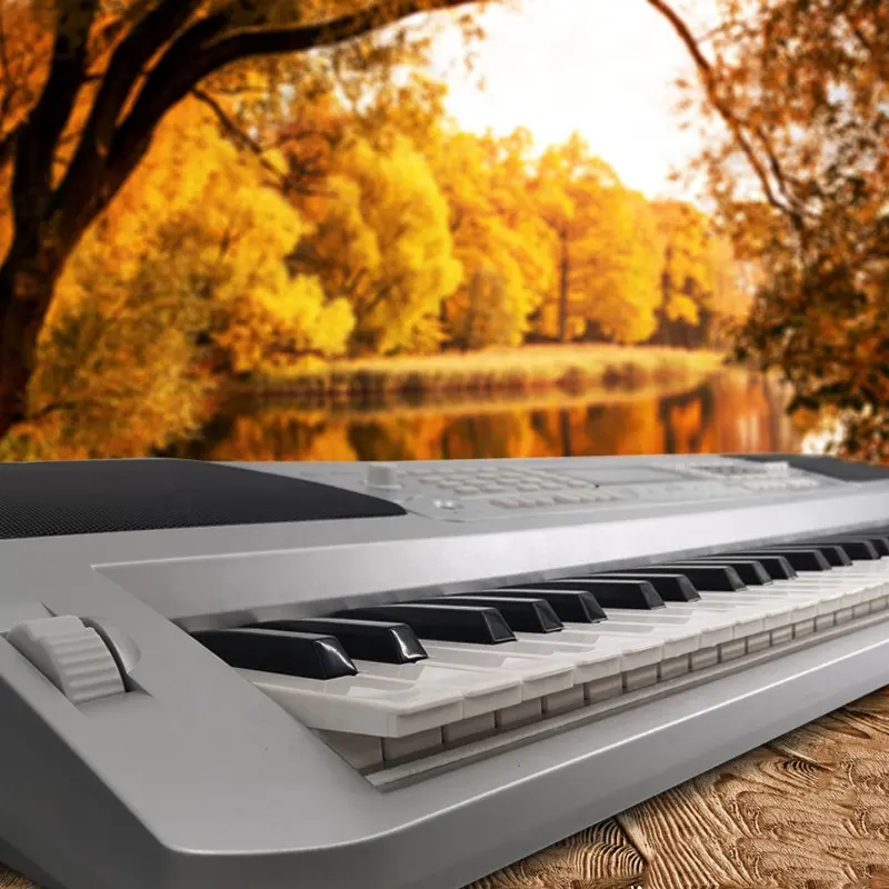 Aiersi бренд 61 основное внимание аранжировщик клавиатура арабский стиль электронный орган USB миди многофункциональное пианино клавиатура