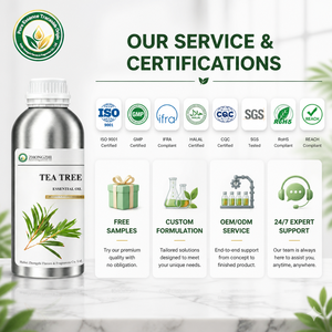 Agent antibactérien naturel Huile d'<span class=keywords><strong>arbre</strong></span> à thé (Melaleuca Alternifolia) pour la désinfection et la purification des surfaces - Product Image 5