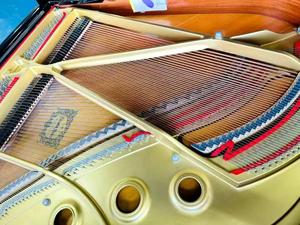 <span class=keywords><strong>Piano</strong></span> de cola asequible, bien mantenido, con sonido claro y tacto sensible, ideal para uso doméstico y lecciones privadas. - Product Image 6