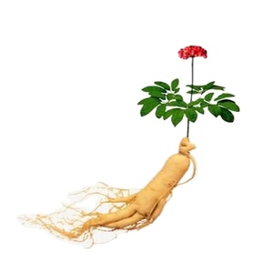 Alta qualidade ginsenosides pó <span class=keywords><strong>ginsenoside</strong></span> extrato rg1/rg2/<span class=keywords><strong>rg3</strong></span> - Product Image 1