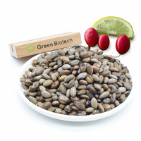Poudre d'extrait de fruit Miracle Berry, qualité alimentaire sauvage, Synsepalum Dulcificum