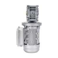 Moteur AC monophasé 180W 220V/240V 50HZ 1390RPM avec boîte de vitesses à vis sans fin NMRV040, fabriqué en Chine, modèle YL6324