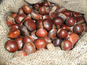 Castañas de Bajo Precio, Snacks y Galletas de Alta Calidad, Nueces de Grado de Exportación - Product Image 4