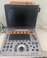 LANNX vDult P60 échographie Portable pour animaux, équipement à ultrasons vétérinaire pour balayage de la grossesse, échographie doppler