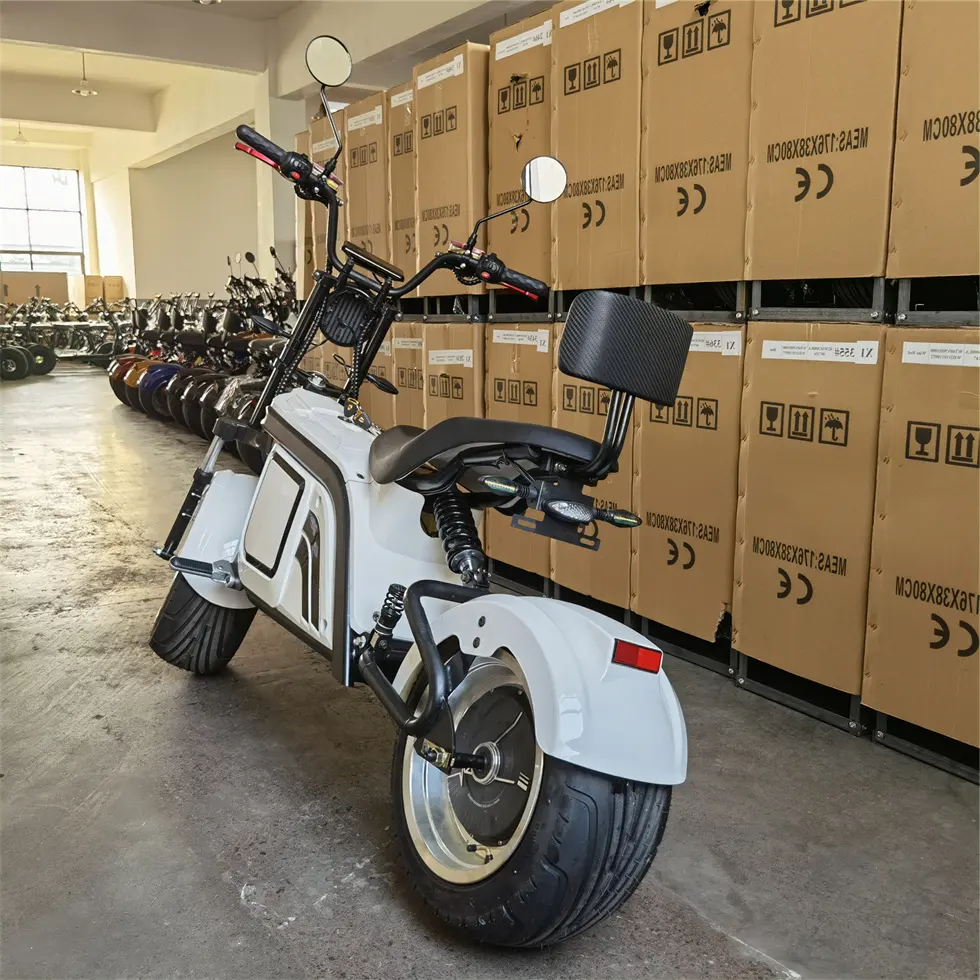 Sport Electric Scooter 4000W Motor 100 Km Range