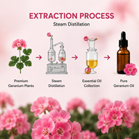 Huile Essentielle de Géranium 100% Pure, Naturelle et Biologique, Qualité Thérapeutique, Aromathérapie, Huiles Essentielles de Pelargonium Graveolens en Gros
