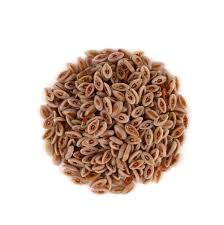 Alta calidad 100% Pure Isabgol Seeds (Psyllium Seed Plantago Ovata Forst) Bolsa de embalaje suelta de alimentos silvestres Precio al por mayor - Product Image 4