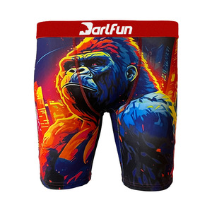 Custom Print Men's Briefs &amp; Boxers Shorts Ethica Boxers Briefs Men Mesh <strong>Underwear</strong> Sublimation Boxer Briefs Blanks - Product Image 5