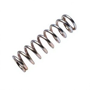 Ressorts en acier inoxydable sur mesure, haute résistance à l'oxydation et à la corrosion, capacité de charge de 100 lb, fabriqués sur mesure - Product Image 1