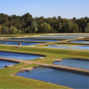 연못 라이너 <span class=keywords><strong>EPDM</strong></span> 1.2mm 1.5mm 500 마이크론 연못 라이너 HDPE 라이너 연못 0.5mm 1.0mm 1.5mm - Product Image 6