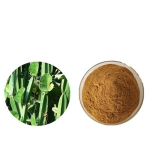 Fabrika kaynağı <span class=keywords><strong>100%</strong></span> doğal organik <span class=keywords><strong>Cissus</strong></span> Quadrangularis bitki özü 99% <span class=keywords><strong>Cissus</strong></span> özü tozu - Product Image 1