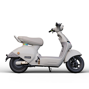 Motocicleta de Alta Potencia de 1200W con Batería de 72V50AH, Capacidad de Carga de 250 kg, Doble Asiento para Desplazamientos Urbanos de Largo Alcance - Product Image 6