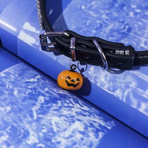 Collar Personalizado para Mascotas con Pedrería, Campana de Calabaza, Ajustable para Gatos y Perros, Diversión de Halloween, Talla Única, Naranja Sólido - Product Image 4