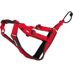 Arnés para perros, accesorio personalizado, duradero, suave y ajustable - Product Image 4