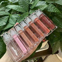 Gloss à lèvres mat végétalien de haute qualité, effet repulpant original, hydratant, nacré, fini brillant, huile à lèvres hydratante