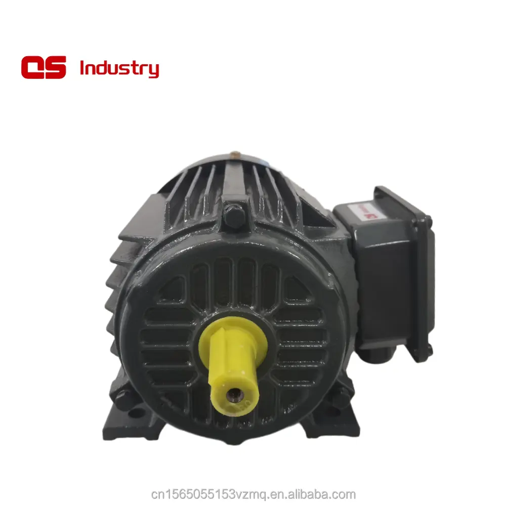 מסגרת קטנה יותר IE5 220KW 315L 1000RPM מגנט קבוע סינכרוני AC PM מנוע לתעשייה