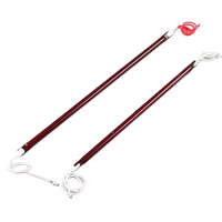 Tube de chaleur à ondes courtes en gros Quartz rouge rubis réflecteur IR lampes chauffantes halogènes