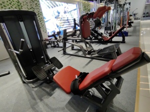 商用ジムフィットネスグルート機器新しいグルートブリッジマシンピンロード付きセレクション卸売り工場価格 - Product Image 2