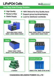 CALB Catl Lifepo4 302AH grado A prismatico 3.2 v 280ah EVE lifepo4 cella batteria 304ah 310Ah 320Ah Lifepo4 celle batteria