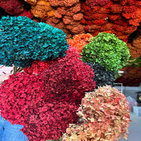 Gedroogde hortensia bloemblaadjes, lange tak, hoge kwaliteit, echt aanvoelend, Valentijnsdag, Chinees Nieuwjaar, Kerstmis