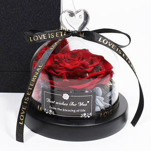 <span class=keywords><strong>Fiore</strong></span> Eterno Transfrontaliero, Regalo <span class=keywords><strong>di</strong></span> San Valentino e Compleanno, Ornamenti a Forma <span class=keywords><strong>di</strong></span> Cupola per Ragazze, Rosa Finita Creativa - Product Image 5