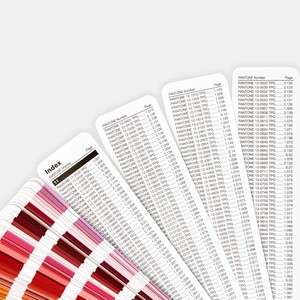 Set di Due Guide Colore Pantone FHIP110A TPG 2020 per Accessori Moda e Arredamento - Product Image 6