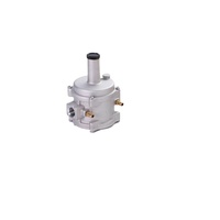 Régulateur de pression de gaz naturel KINGO A1001 1 Bar 16-60 Mbar Aluminium DN15 DN20 DN25 GPL Température de fonctionnement -15~+60 1 an