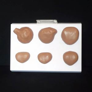 KyrenMed laki-laki gelap prostat ujian mandiri Model anatomi medis urologi prostat untuk studi kanker prostat - Product Image 2