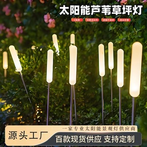 Luces solares para jardín, lámpara LED de exterior, impermeable, alimentada por energía solar, luz decorativa para césped, patio, parque, vegetación. - Product Image 4