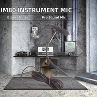Microphones pour instruments à vent, basse, saxophone, instruments à cordes, micro avec différents connecteurs pour mandoline, fournis par l'usine