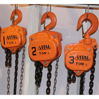 Poulie manuelle de type bracelet, 10 tonnes, portable, de haute qualité et durable, idéale pour la construction et les entrepôts