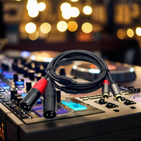 Câble de connexion audio stéréo HiFi 3M RCA vers XLR mâle 2 RCA vers 2 XLR mâle Câble de chemin pour appareils audio et vidéo