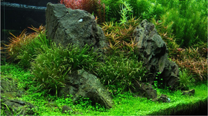 Groothandel <span class=keywords><strong>Aquarium</strong></span> Wassen Zwart Landschap Rotsen Grote Natuursteen