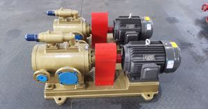 Pompe à bitume d'usine, pompe à vis haute pression pour fluide à haute viscosité, 75 CV, OEM personnalisable, veste chauffante incluse - Product Image 6