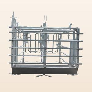Equipo de Cría de Cerdos de Alta Calidad, Jaulas de Gestación Galvanizadas en Caliente, Duraderas y de Larga Vida Útil - Product Image 1