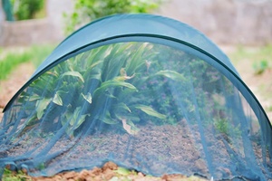 Modern Mesh Anti-Insect Easy Assembly Adjustable Green Mini Metal <b>Garden</b> Tunnel Greenhouse for Plant - Product Image 6
