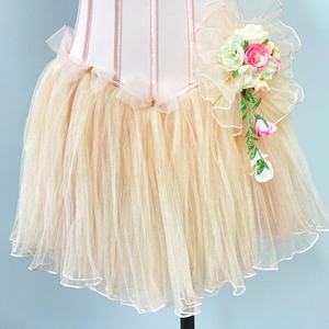 R0182 गुलाबी खाद्य क्रेकर बैलेट वाल्ट्ज फूलों के पेशेवर रोमांटिक टुटू - Product Image 5