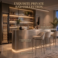 Comptoir de bar en acier inoxydable sur mesure de qualité supérieure avec éclairage LED intégré pour restaurants, clubs privés et projets d'aménagement intérieur