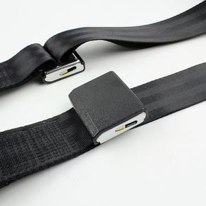 간단한 2 포인트 휠체어 넥타이 안전 벨트 - Product Image 2