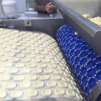Multifunctionele koekjesmachine, biscuit- en koekjesproductielijn, dierenbiscuit- en huisdierbiscuit-tunnel oven productielijn