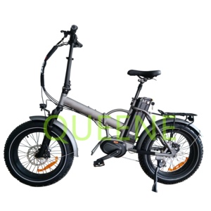 Bicicleta Eléctrica Plegable QUEENE Pequeña de 20 Pulgadas con Neumáticos Anchos y Motor Central de 500 W - Product Image 1