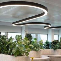 Luces de Proyección Curvas Personalizadas para Uso en Oficinas con Temperatura de Color Ajustable y Garantía de 5 Años