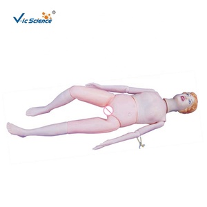 Modelo anatómico multifuncional <span class=keywords><strong>de</strong></span> PVC y plástico para el cuidado del paciente, maniquí <span class=keywords><strong>de</strong></span> enfermería para entrenamiento en la Escuela <span class=keywords><strong>de</strong></span> Medicina - Product Image 6