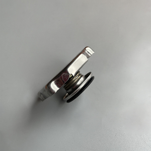Vente en gros de pièces automobiles 55116897AA, cache de radiateur pour Jeep Dodge Chrysler 300 1993-2019 55116897AA - Product Image 6