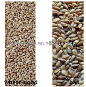 Machine de tri optique IA Longbow M320 pour café vert, blé, céréales, riz – Trieuse de couleur et de forme 3-5 TPH, précision 99,99 %, 5400 pixels CCD - Product Image 6