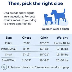 <span class=keywords><strong>Harnais</strong></span> pour chien Martingale réglable en nylon pour animaux de compagnie Contrôle facile <span class=keywords><strong>Harnais</strong></span> personnalisé sans <span class=keywords><strong>traction</strong></span> pour chiens de taille moyenne à grande - Product Image 6